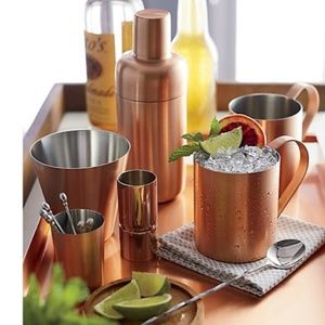 Crate & Barrel Stainless Steel Cocktail Shaker Set